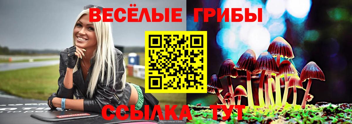 Псилоцибиновые грибы ЛСД Казань
