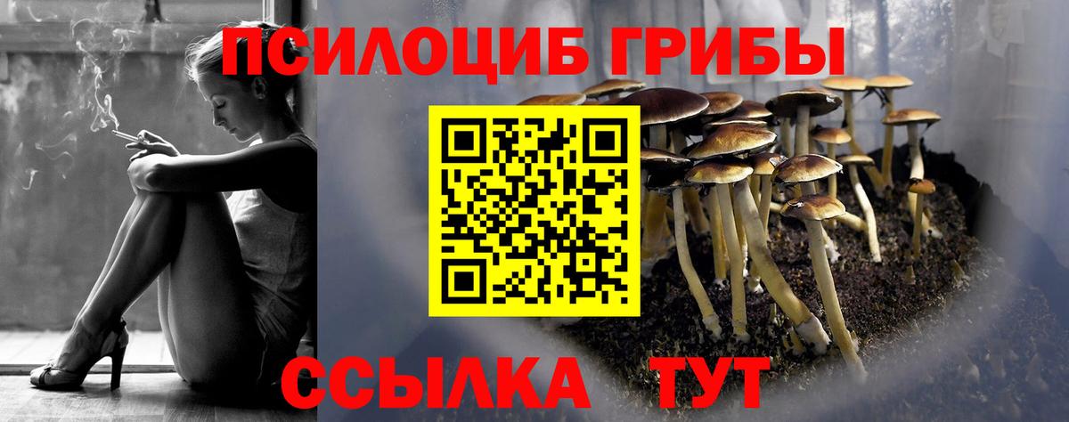 Галлюциногенные грибы прущие грибы  Вход с VPN  Казань  Псилоцибиновые грибы Magic Shrooms 